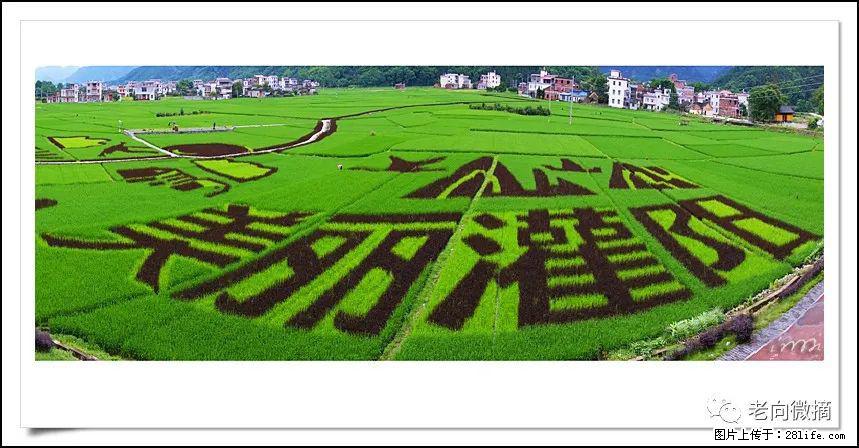 【春天，广西桂林灌阳县向您发出邀请！】开篇 - 游山玩水 - 昭通生活社区 - 昭通28生活网 zt.28life.com