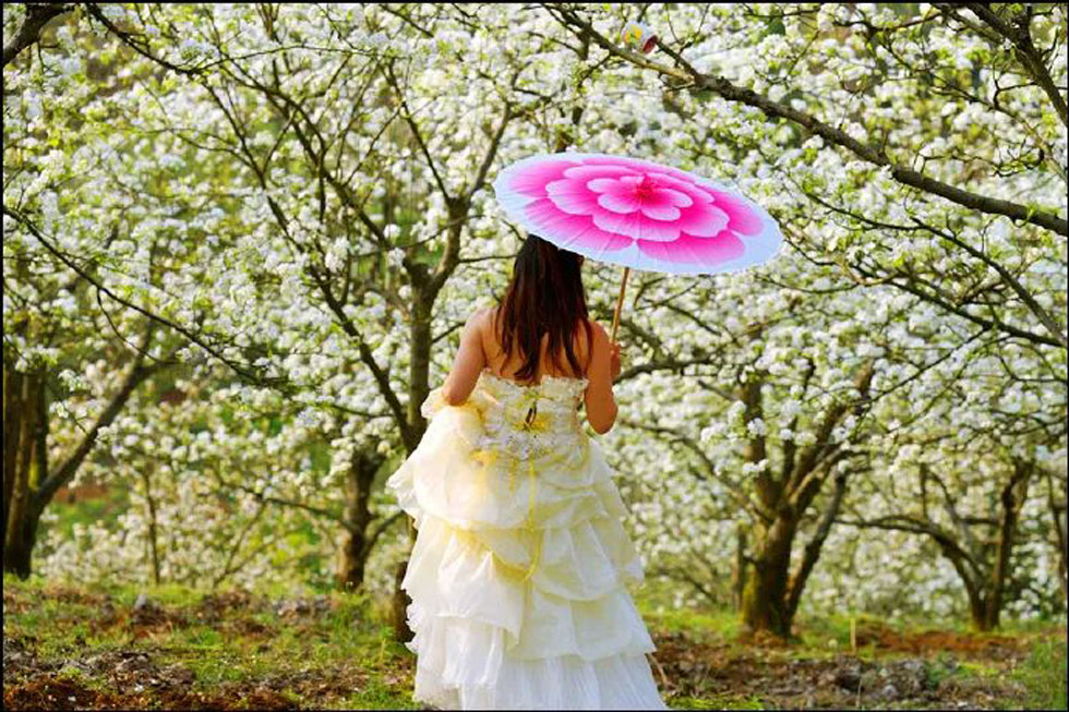 【春天，广西桂林灌阳县向您发出邀请！】我们在灌阳看梨花 - 游山玩水 - 昭通生活社区 - 昭通28生活网 zt.28life.com