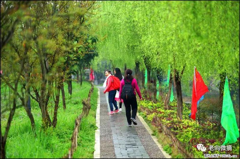 【春天，广西桂林灌阳县向您发出邀请！】江口老街又逢春 - 游山玩水 - 昭通生活社区 - 昭通28生活网 zt.28life.com