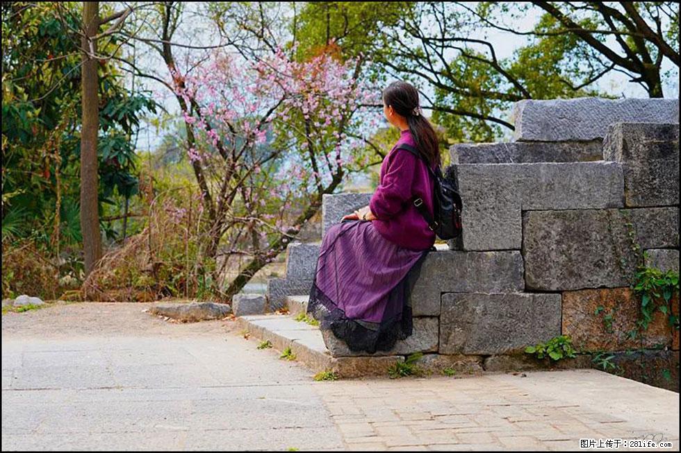 【春天，广西桂林灌阳县向您发出邀请！】江口老街又逢春 - 游山玩水 - 昭通生活社区 - 昭通28生活网 zt.28life.com