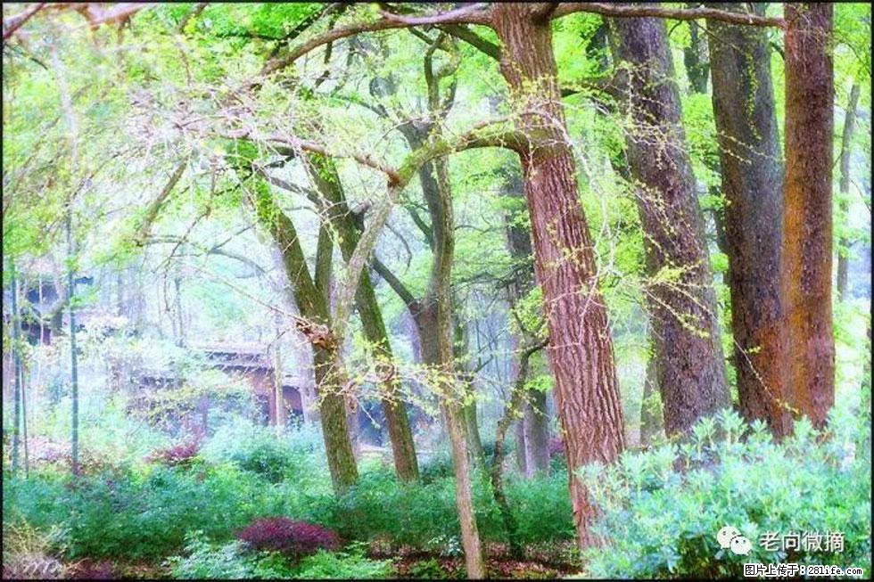 【春天，广西桂林灌阳县向您发出邀请！】在小龙村与春天约会 - 游山玩水 - 昭通生活社区 - 昭通28生活网 zt.28life.com