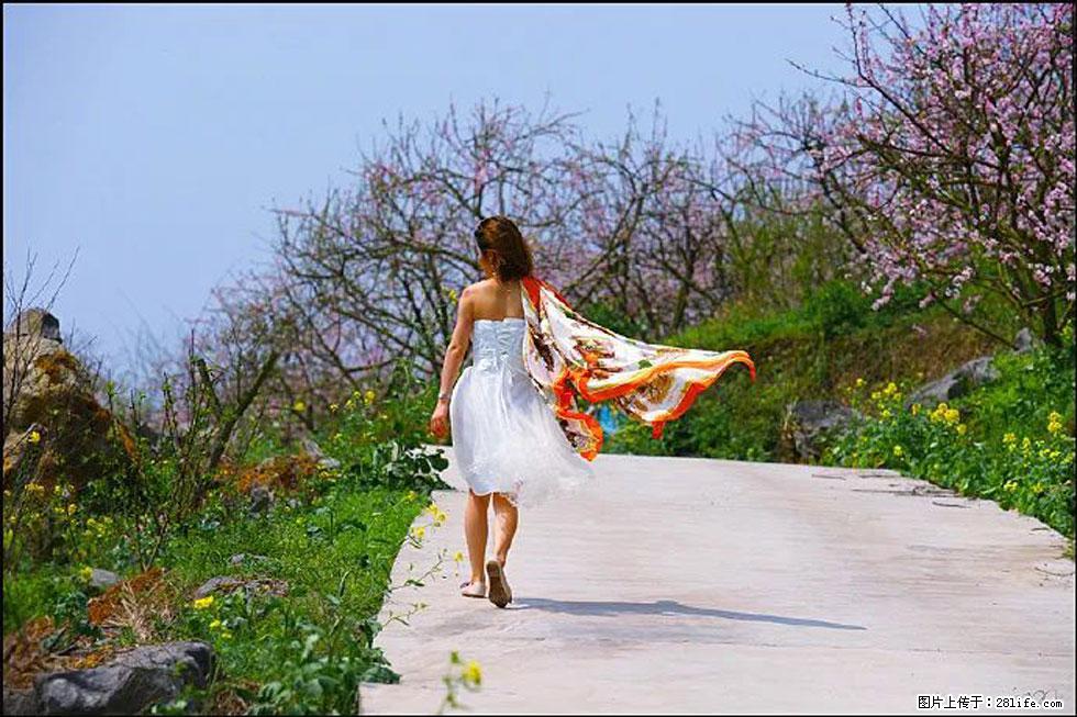 【春天，广西桂林灌阳县向您发出邀请！】望月岭上桃花开 - 游山玩水 - 昭通生活社区 - 昭通28生活网 zt.28life.com