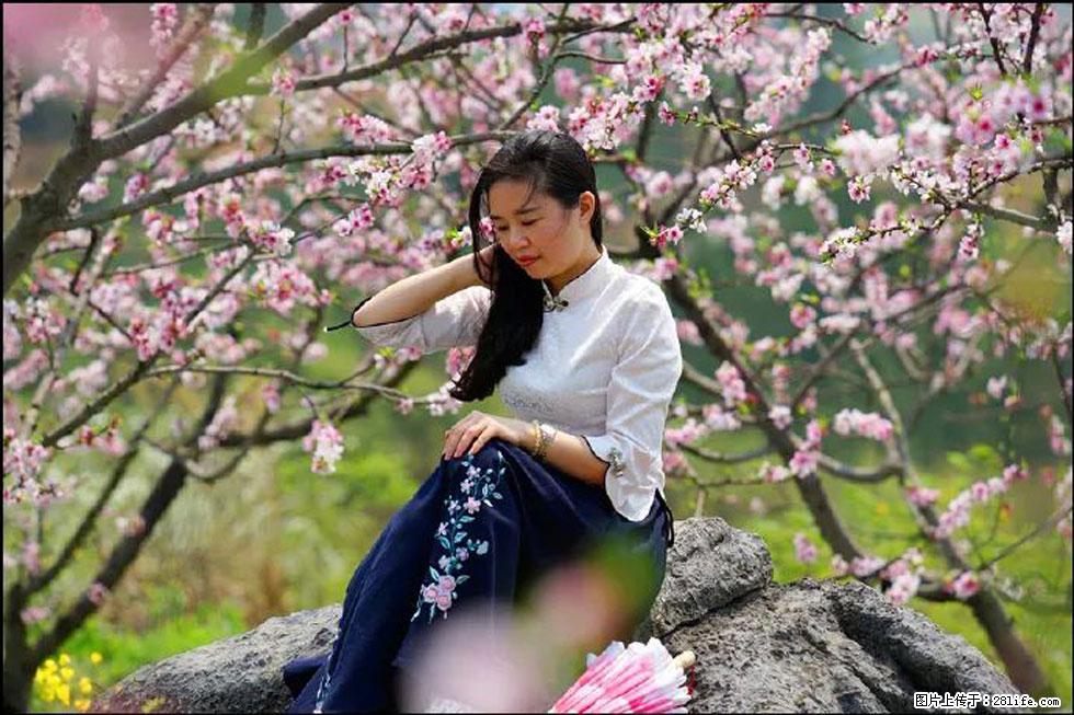 【春天，广西桂林灌阳县向您发出邀请！】望月岭上桃花开 - 游山玩水 - 昭通生活社区 - 昭通28生活网 zt.28life.com