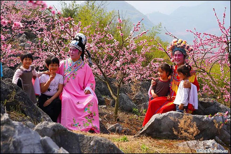 【春天，广西桂林灌阳县向您发出邀请！】望月岭上桃花开 - 游山玩水 - 昭通生活社区 - 昭通28生活网 zt.28life.com