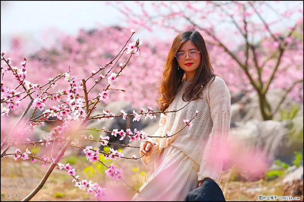 【春天，广西桂林灌阳县向您发出邀请！】望月岭上桃花开 - 游山玩水 - 昭通生活社区 - 昭通28生活网 zt.28life.com