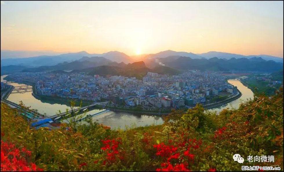 【春天，广西桂林灌阳县向您发出邀请！】登麒麟山，相约映山红 - 游山玩水 - 昭通生活社区 - 昭通28生活网 zt.28life.com