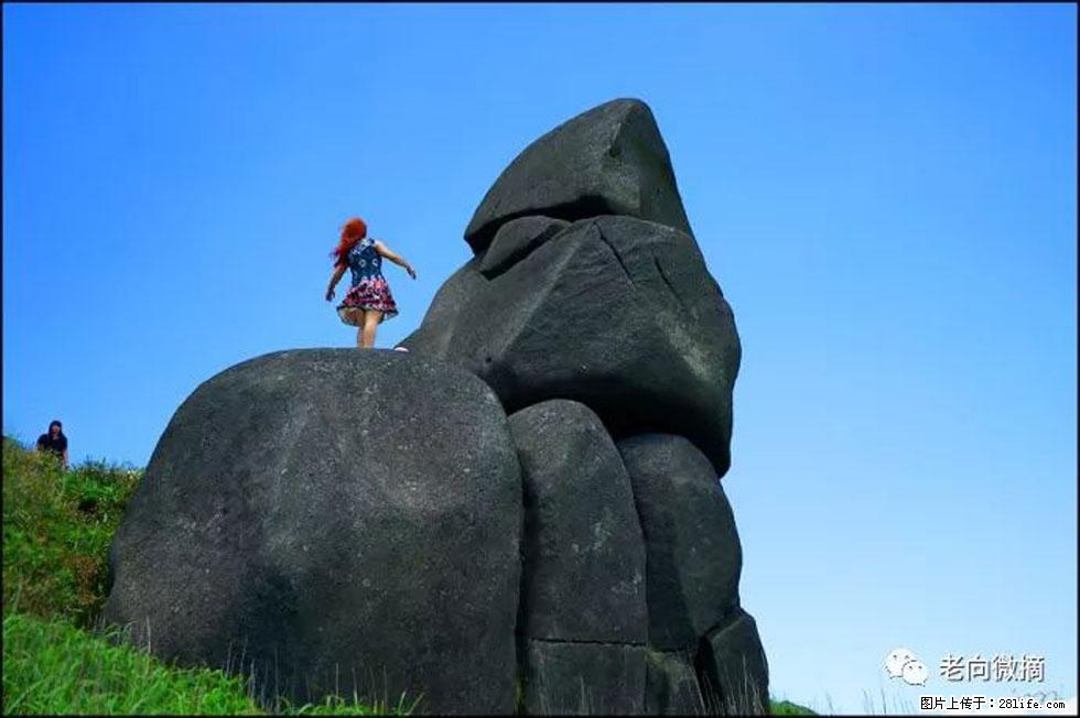 【春天，广西桂林灌阳县向您发出邀请！】宝盖山上映山红 - 游山玩水 - 昭通生活社区 - 昭通28生活网 zt.28life.com