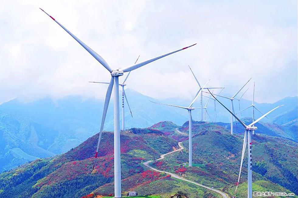 【春天，广西桂林灌阳县向您发出邀请！】春木界上映山红 - 游山玩水 - 昭通生活社区 - 昭通28生活网 zt.28life.com