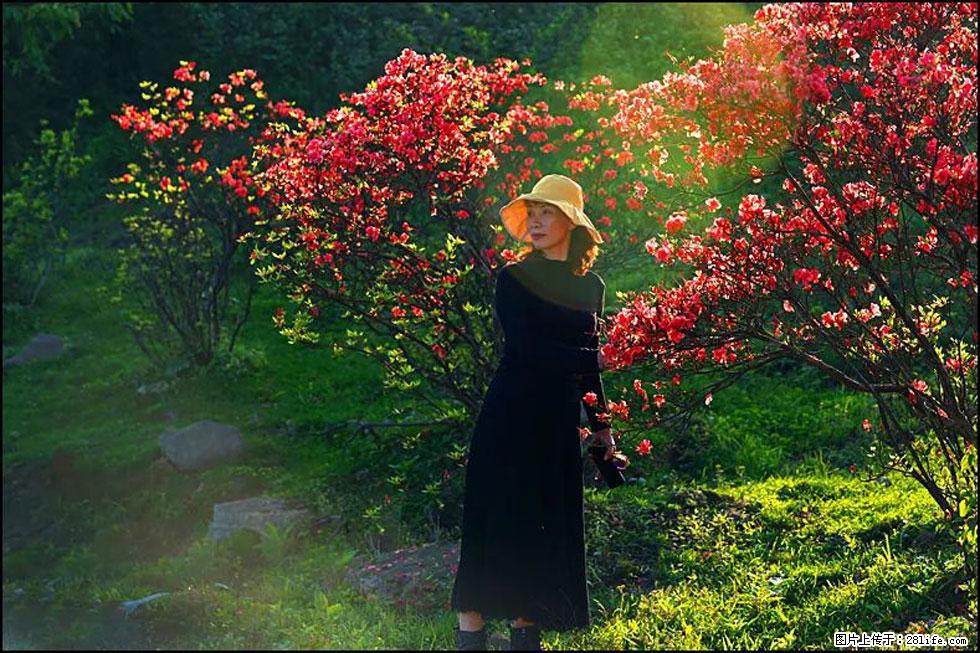 【春天，广西桂林灌阳县向您发出邀请！】春木界上映山红 - 游山玩水 - 昭通生活社区 - 昭通28生活网 zt.28life.com