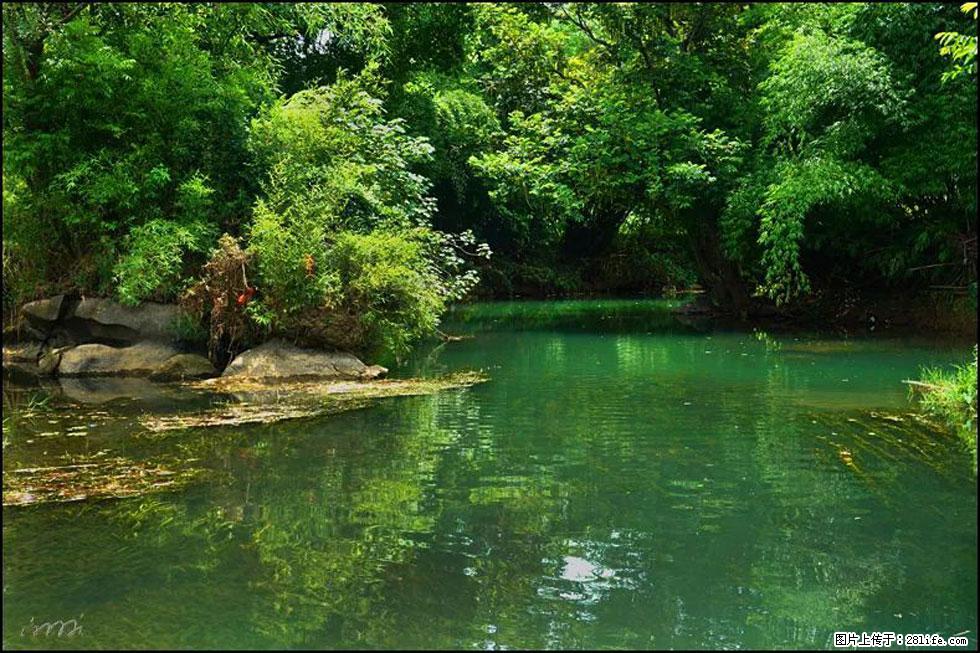 【春天，广西桂林灌阳县向您发出邀请！】如梦似幻莲溪庐 - 游山玩水 - 昭通生活社区 - 昭通28生活网 zt.28life.com