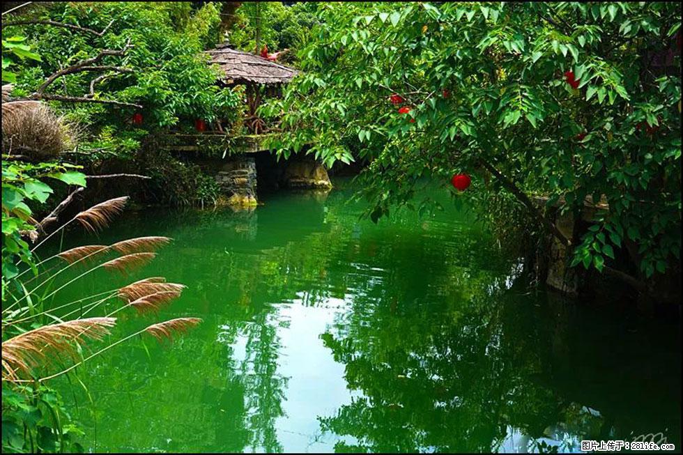 【春天，广西桂林灌阳县向您发出邀请！】如梦似幻莲溪庐 - 游山玩水 - 昭通生活社区 - 昭通28生活网 zt.28life.com