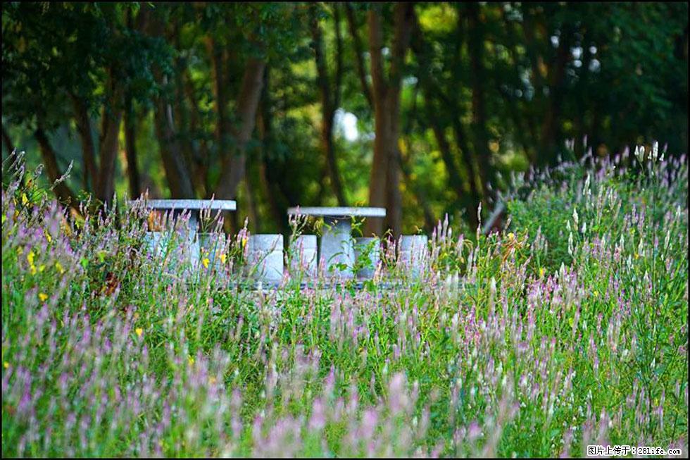 【春天，广西桂林灌阳县向您发出邀请！】熊家寨湿地公园 - 游山玩水 - 昭通生活社区 - 昭通28生活网 zt.28life.com