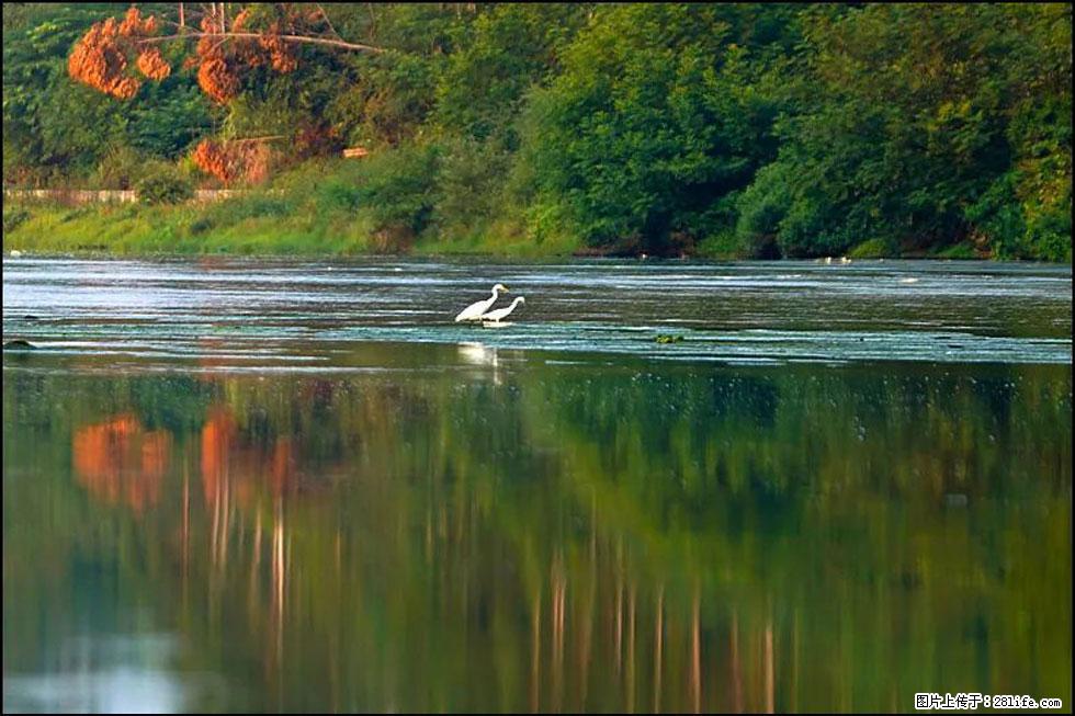 【春天，广西桂林灌阳县向您发出邀请！】熊家寨湿地公园 - 游山玩水 - 昭通生活社区 - 昭通28生活网 zt.28life.com