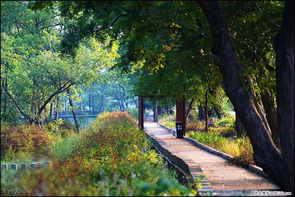 【春天，广西桂林灌阳县向您发出邀请！】熊家寨湿地公园 - 游山玩水 - 昭通生活社区 - 昭通28生活网 zt.28life.com