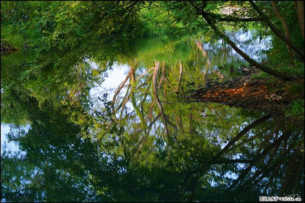 【春天，广西桂林灌阳县向您发出邀请！】熊家寨湿地公园 - 游山玩水 - 昭通生活社区 - 昭通28生活网 zt.28life.com