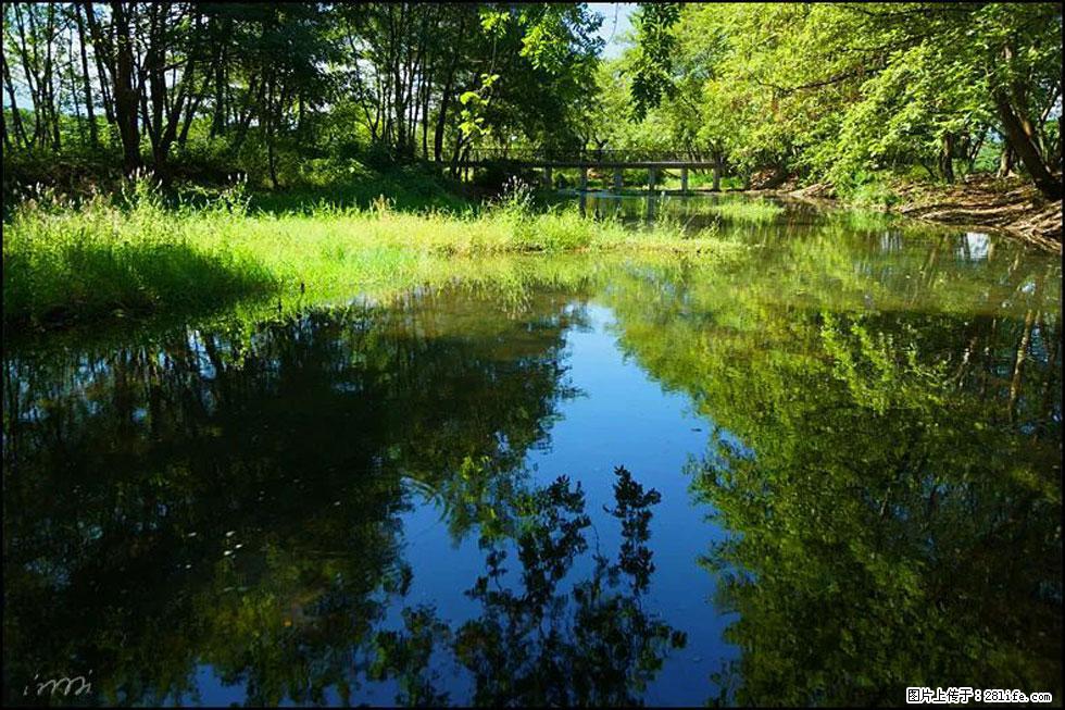 【春天，广西桂林灌阳县向您发出邀请！】熊家寨湿地公园 - 游山玩水 - 昭通生活社区 - 昭通28生活网 zt.28life.com