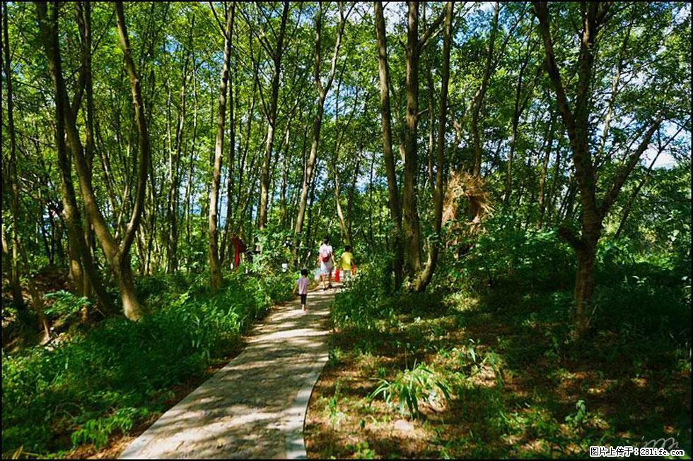 【春天，广西桂林灌阳县向您发出邀请！】熊家寨湿地公园 - 游山玩水 - 昭通生活社区 - 昭通28生活网 zt.28life.com