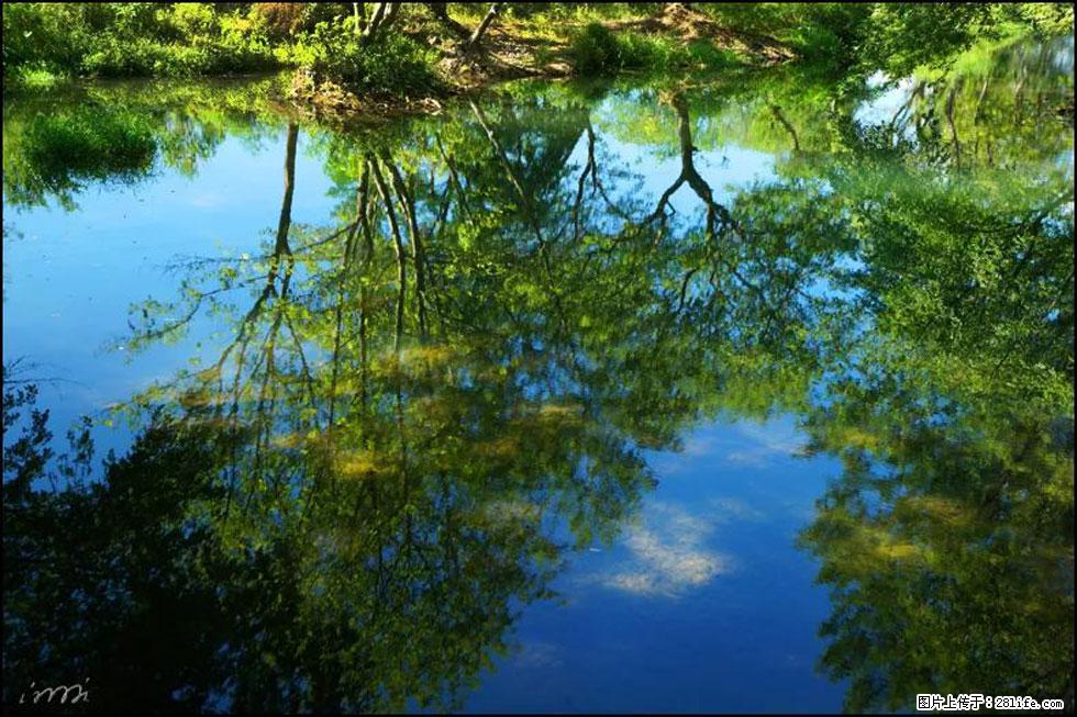 【春天，广西桂林灌阳县向您发出邀请！】熊家寨湿地公园 - 游山玩水 - 昭通生活社区 - 昭通28生活网 zt.28life.com