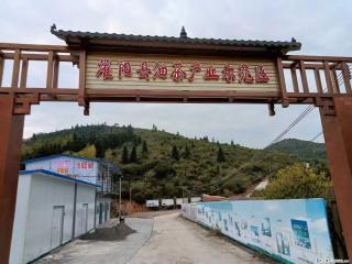 【灌阳县油茶产业示范区】一个有着充实的精神生活的人，对待身外之物自会有一种淡泊的态度 - 昭通28生活网 zt.28life.com