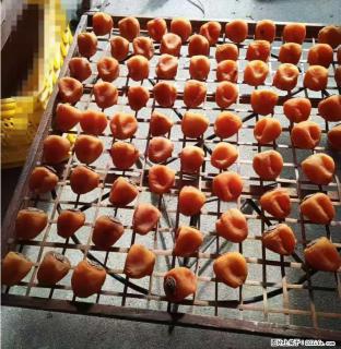 广西桂林平乐桥亭【柿饼之乡】2025年纯手工制作、无任何添加剂的第一批柿饼准备上市了，欢迎联系订购！ - 昭通28生活网 zt.28life.com