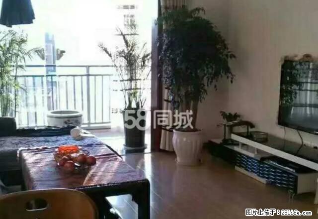 新天地6楼 4室2厅 130平米 精装带家具家电 - 房屋出租 - 房屋租售 - 昭通分类信息 - 昭通28生活网 zt.28life.com