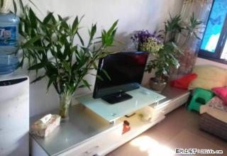 凤霞路小南区温馨房屋出租 3室1厅 带家具家电 - 昭通28生活网 zt.28life.com