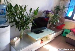 小南区稀有小三房带家具家 电停车方便 采光好 - 昭通28生活网 zt.28life.com