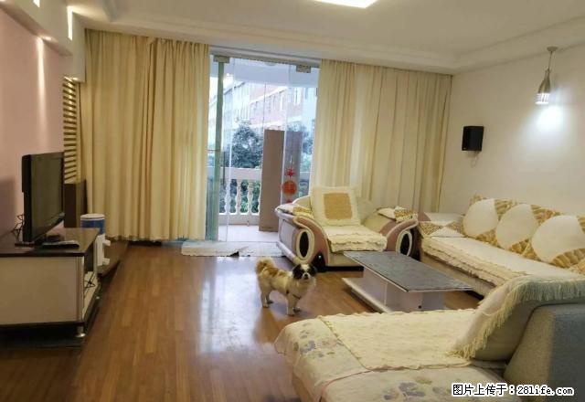 民欣花园 3室2厅 精装修带家具家电 停车方便 欲租从速 - 房屋出租 - 房屋租售 - 昭通分类信息 - 昭通28生活网 zt.28life.com