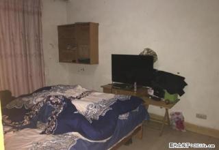 环东路步行街 地建司家属区 1室2厅1卫精装修带家具家电 - 昭通28生活网 zt.28life.com