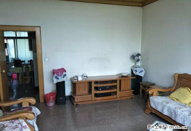 沃尔玛附近，采光优秀，中间楼层，物管免费 - 房屋出租 - 房屋租售 - 昭通分类信息 - 昭通28生活网 zt.28life.com