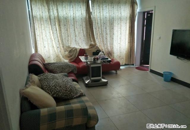 晨曦路中段，中间楼层，采光优秀，交通方便 - 房屋出租 - 房屋租售 - 昭通分类信息 - 昭通28生活网 zt.28life.com