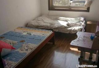 昭苑小区 3室2厅2卫 - 昭通28生活网 zt.28life.com