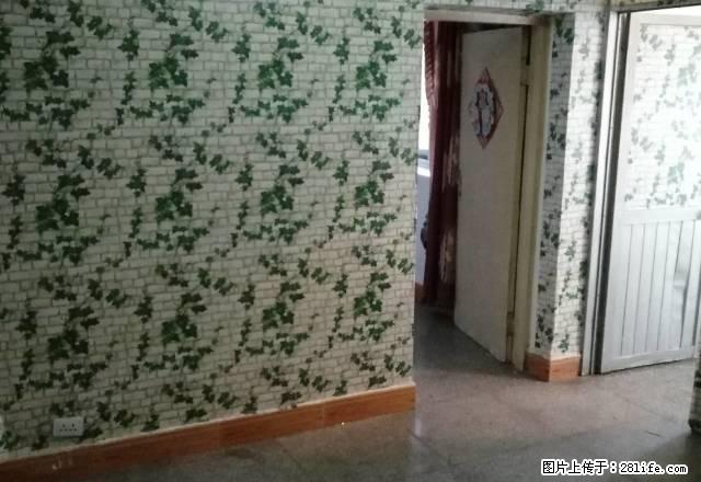 长青路区教师住宅小区 2室1厅 好房急租 - 房屋出租 - 房屋租售 - 昭通分类信息 - 昭通28生活网 zt.28life.com