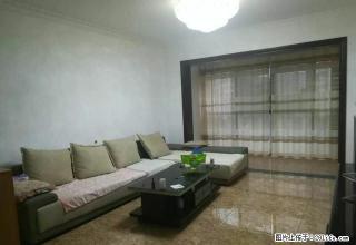 紫光小区一期 精装修 带全套家具家电出租 拎包入住 - 昭通28生活网 zt.28life.com