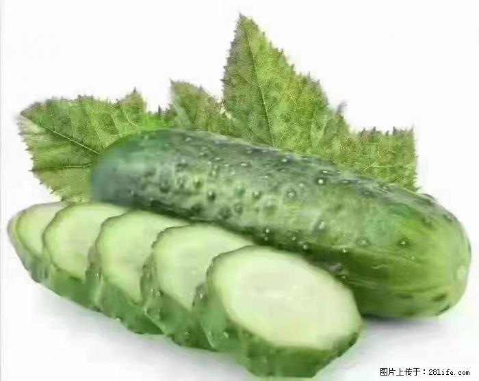 【生活小常识】吃黄瓜的好处 - 生活百科 - 昭通生活社区 - 昭通28生活网 zt.28life.com