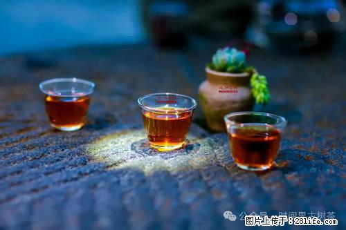 时间果百年古树2025年春红茶 - 购物交流 - 昭通生活社区 - 昭通28生活网 zt.28life.com