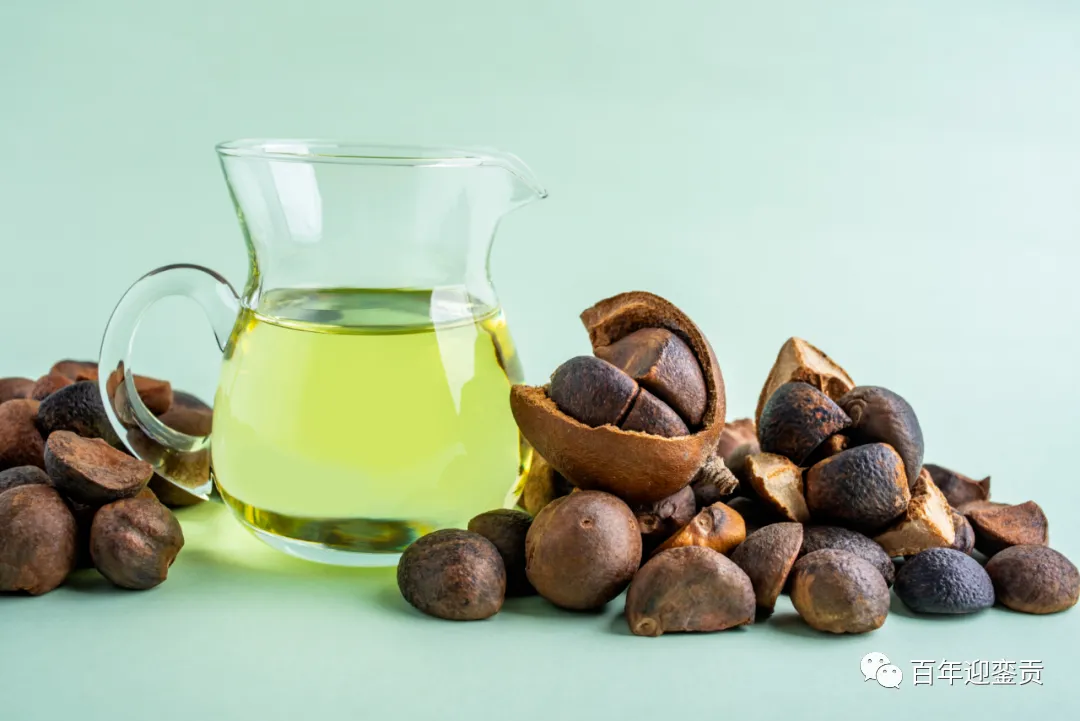 世界没有真相,只有认知,最好的食用油是中国的山茶油! - 昭通生活资讯 - 昭通28生活网 zt.28life.com