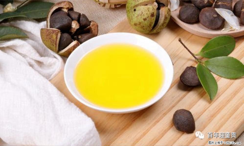 世界没有真相,只有认知,最好的食用油是中国的山茶油! - 昭通生活资讯 - 昭通28生活网 zt.28life.com