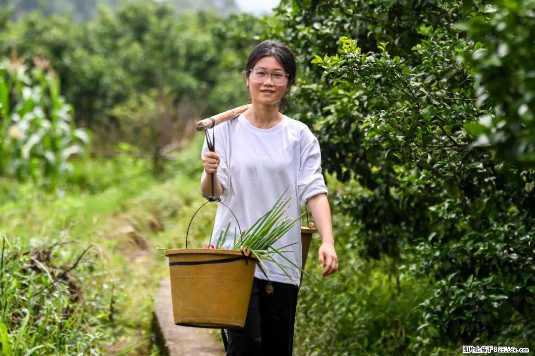 全网追的“扁担女孩”,找了一份暑假工,时薪12元 - 昭通生活资讯 - 昭通28生活网 zt.28life.com