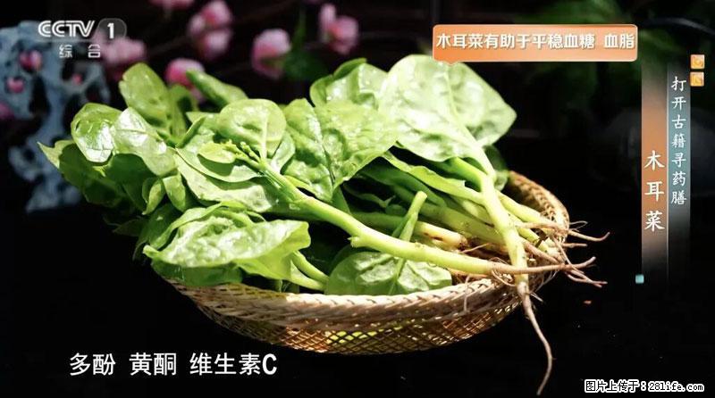 比牛奶补钙还厉害!凉血解毒、稳血糖...这菜冬天必吃,很多人却当草 - 昭通生活资讯 - 昭通28生活网 zt.28life.com