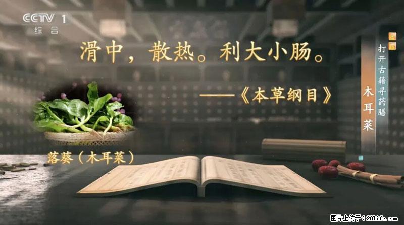 比牛奶补钙还厉害!凉血解毒、稳血糖...这菜冬天必吃,很多人却当草 - 昭通生活资讯 - 昭通28生活网 zt.28life.com