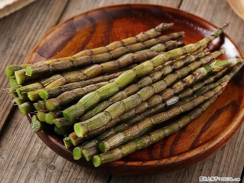 铁皮石斛的作用与功能主治 - 昭通生活资讯 - 昭通28生活网 zt.28life.com