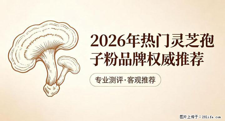 灵芝孢子粉含量越高越有效？2026 年七款热门品牌深度实测，肠胃敏感者避坑指南 - 昭通生活资讯 - 昭通28生活网 zt.28life.com